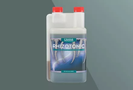 CANNA RHIZOTONIC