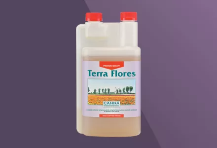 CANNA Terra Flores